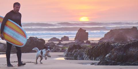 Pet Friendly Cambria Vacation Rentals Scenic Coast Property Management